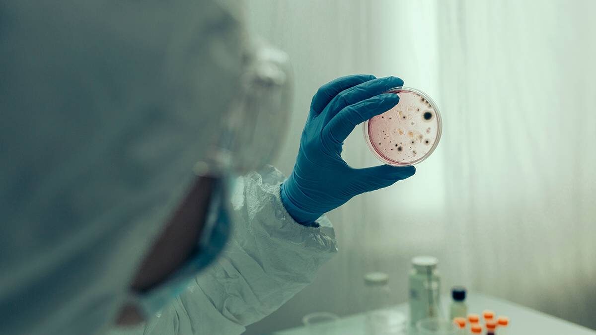    Фото: Shutterstock