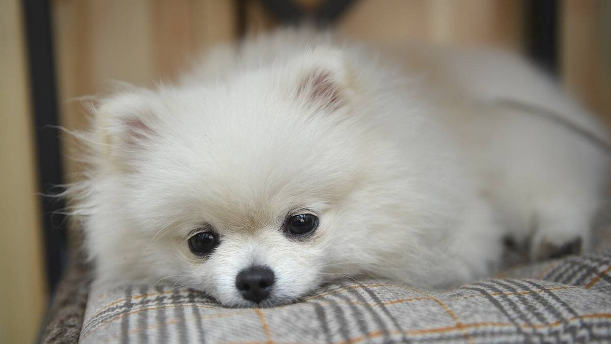    Фото: Наталья Феоктистова / Вечерняя Москва