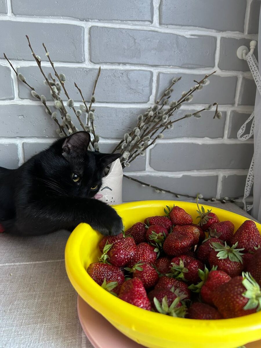    архив samaraonline24