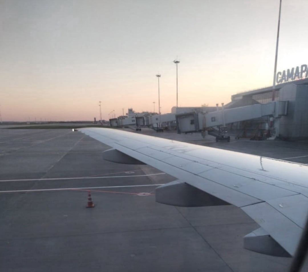    Фото: Илона Боянова