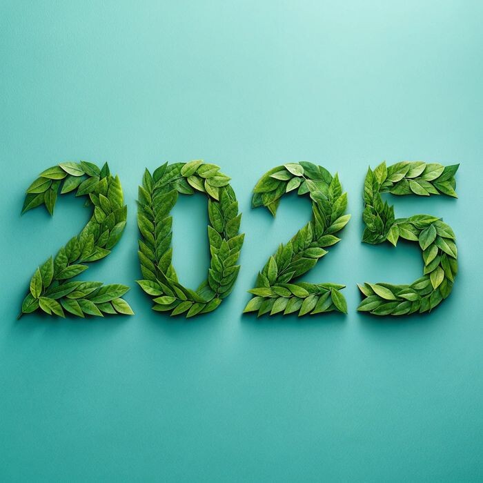 Июнь 2025 — золотое время для шопоголиков! Ритейлеры сбрасывают цены на "несезон", освобождая склады.