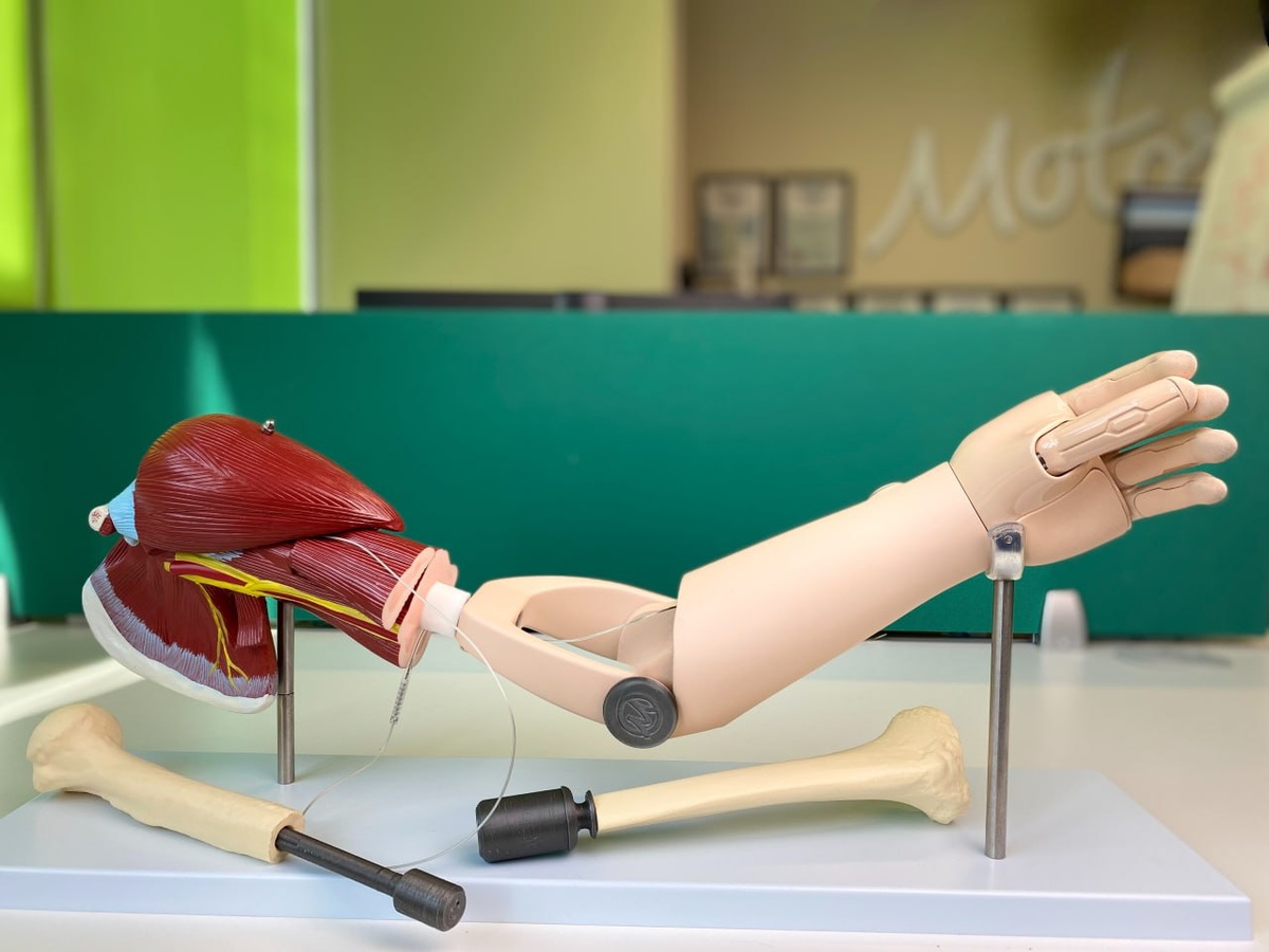    Фото СамГМУ