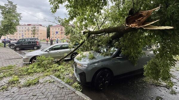    © Sputnik / Мария Амелина