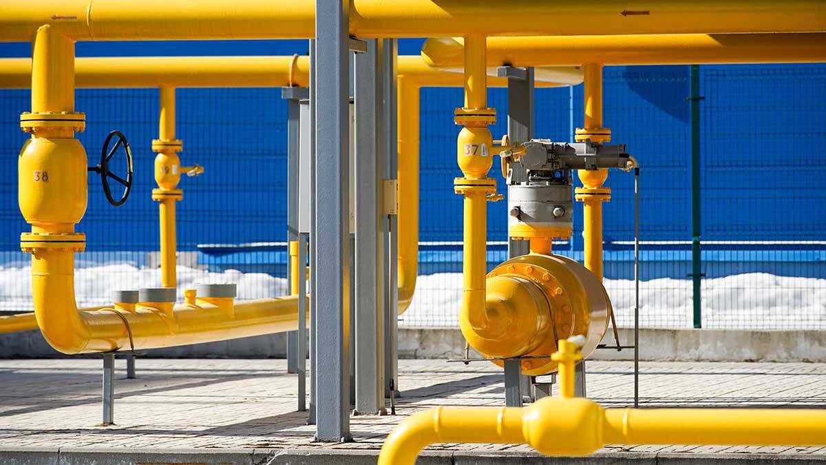    Фото: Александр Авилов / АГН Москва