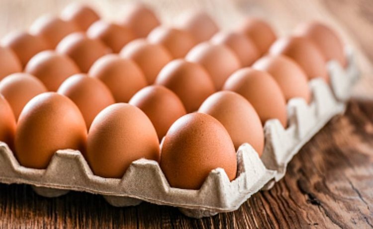    Животноводство России продолжает сохранять позитивную динамику