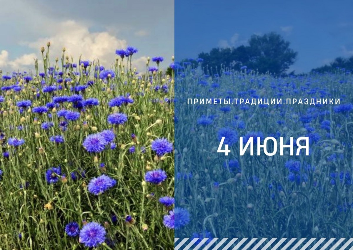   ГТРК "Ставрополье"