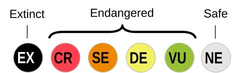 Создать карусельДобавьте описание