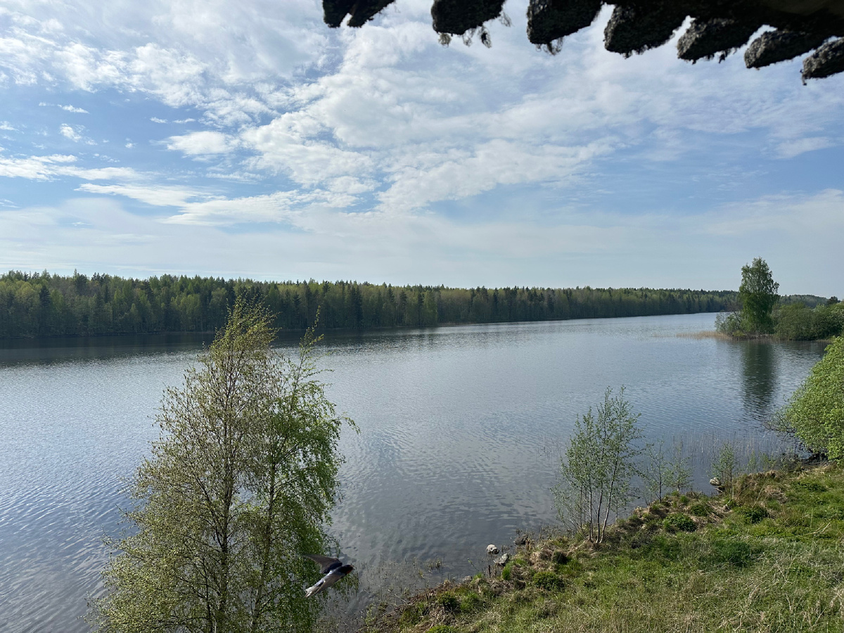 Онежская губа