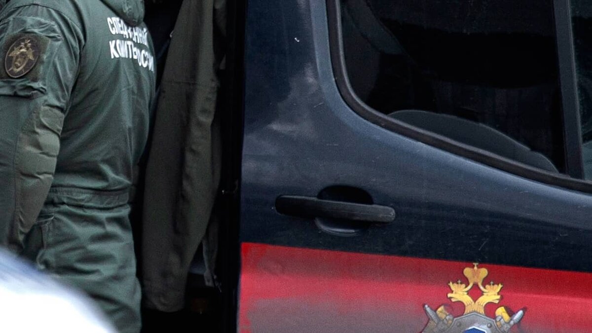 Фото: https://tvzvezda.ru/ (https://mcdn2.tvzvezda.ru/storage/news_other_images/2025/02/17/fd611a30448940cc8d6180bf06a3eca4.jpg)