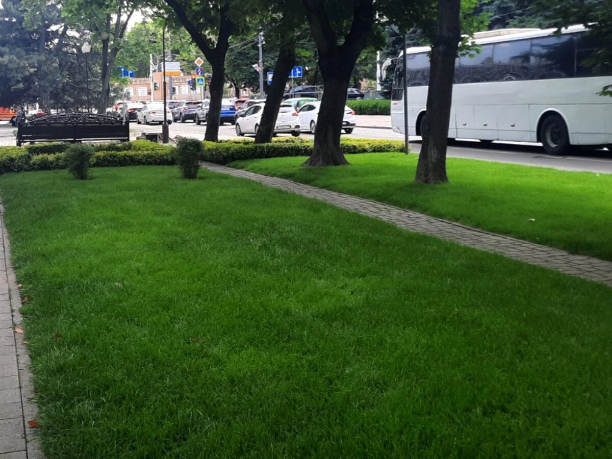 Фото: Утренний Юг