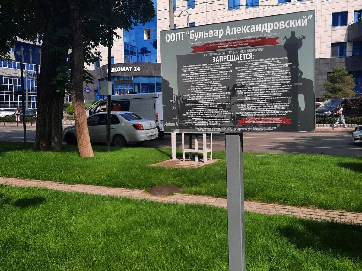 Фото: Утренний Юг