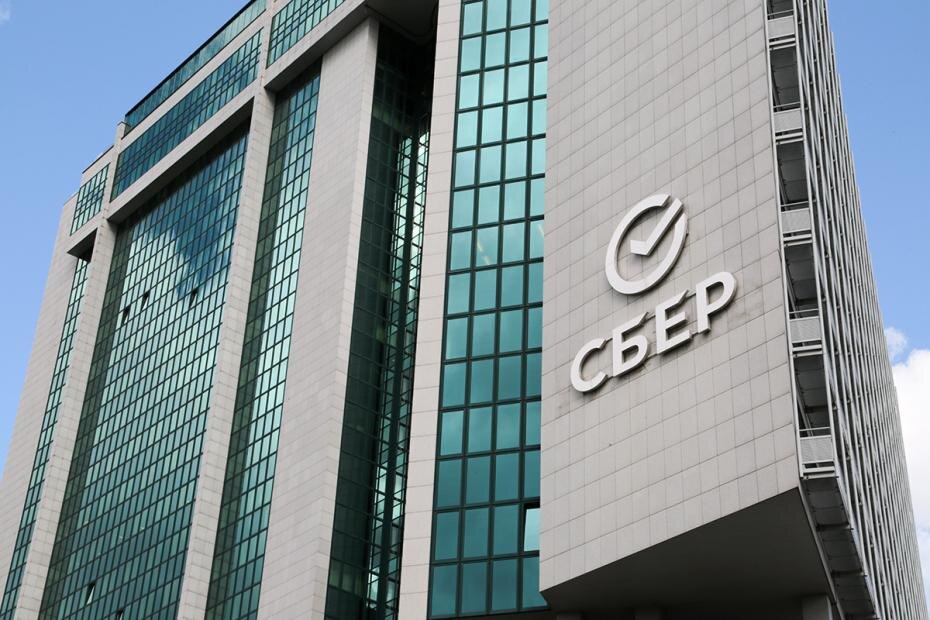    Илья Кошелев/NEWS.ru