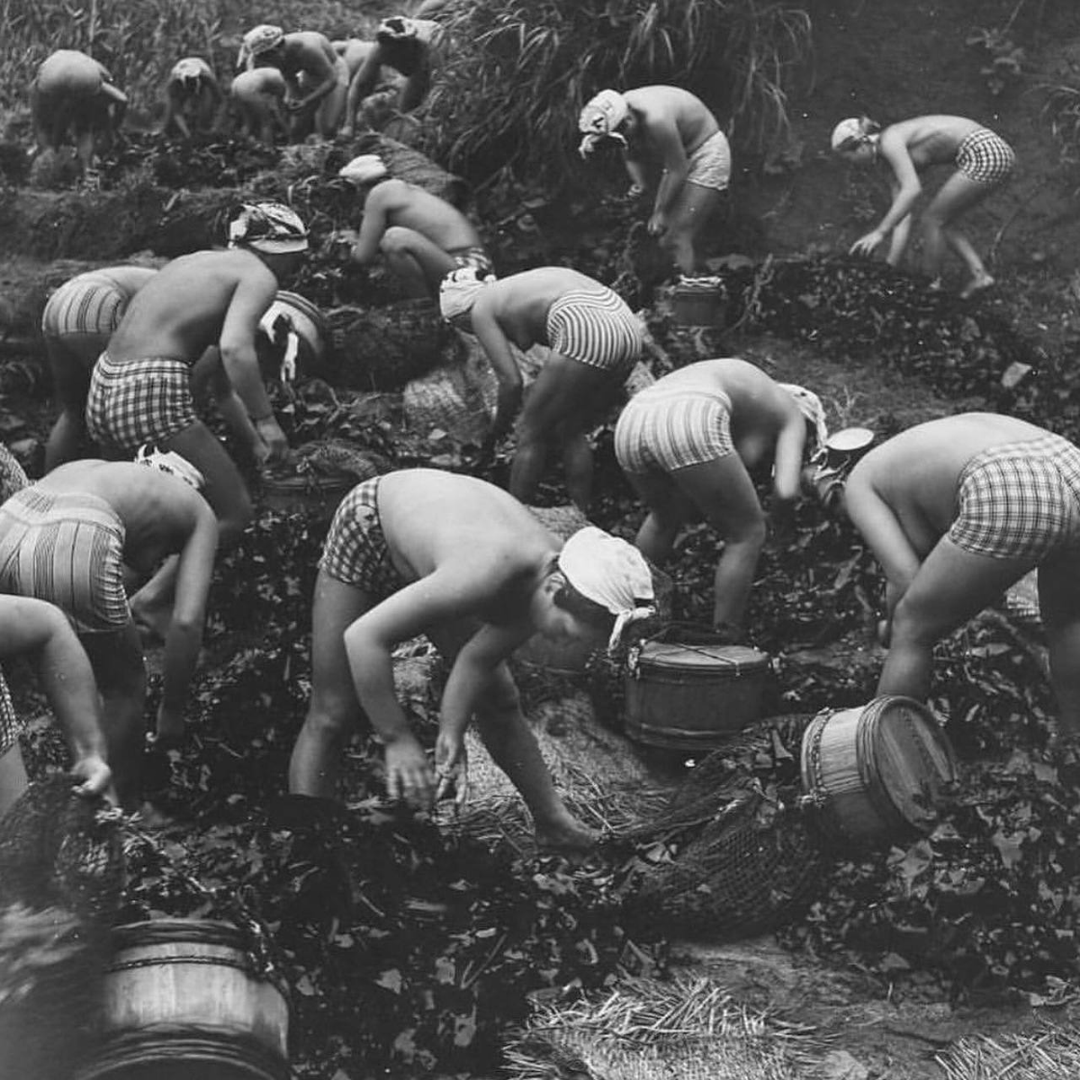 Фото ама за сбором жемчуга на берегу из раковин