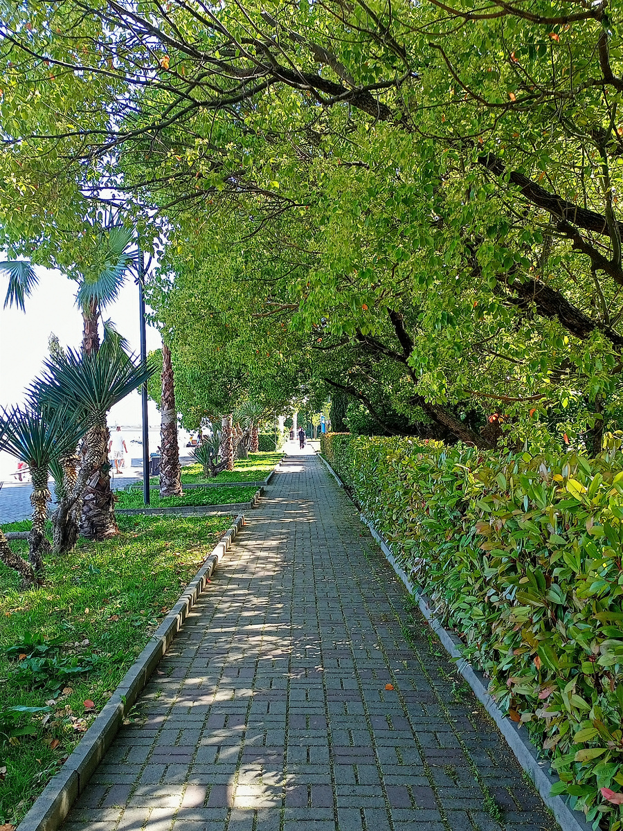 Фото автора 