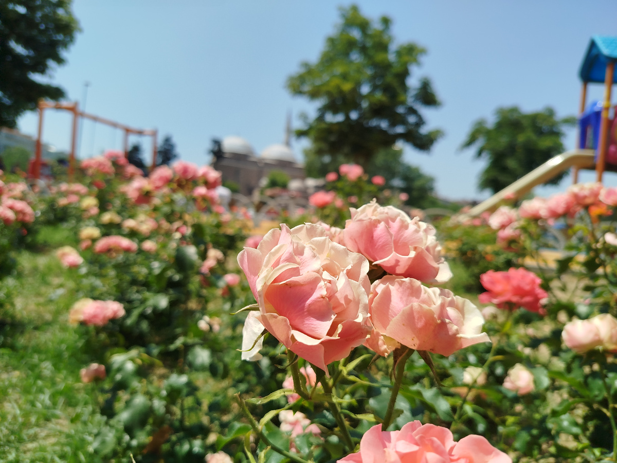 Фоткаю по дороге на вокзал
