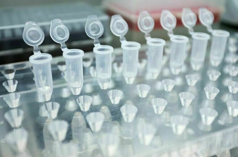   Андрей Никеричев/Агентство «Москва»