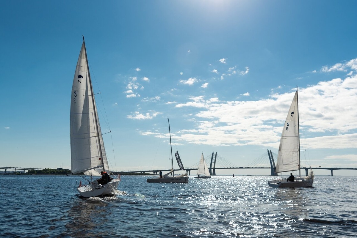 Фото: сайт «Сила Ветра»