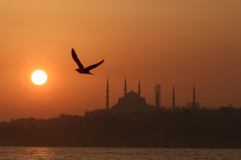    Алексей Белкин/NEWS.ru