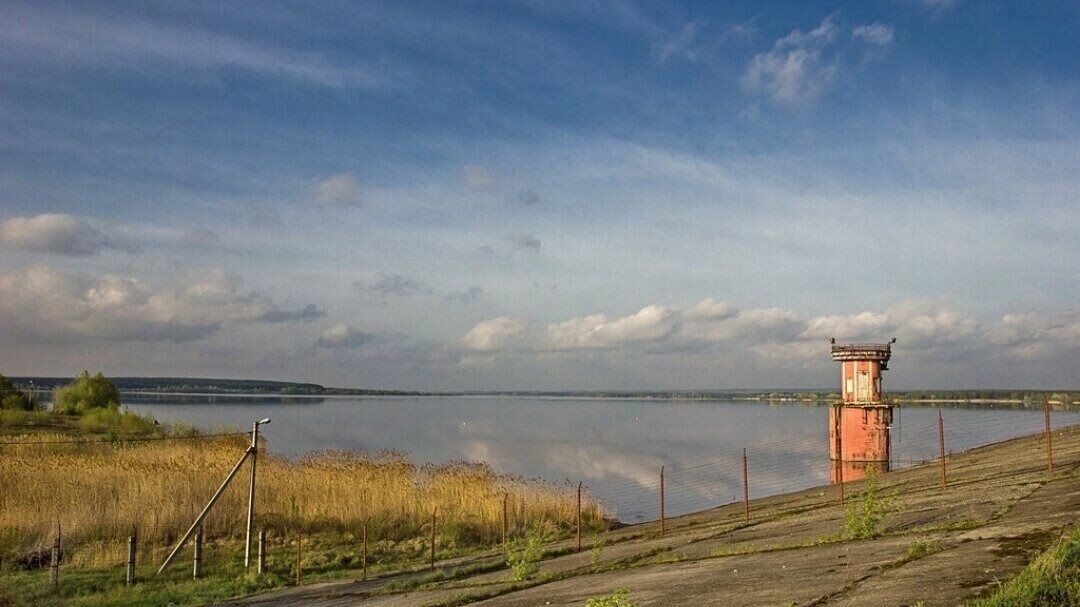     Источник: 36.fsvps.gov.ru