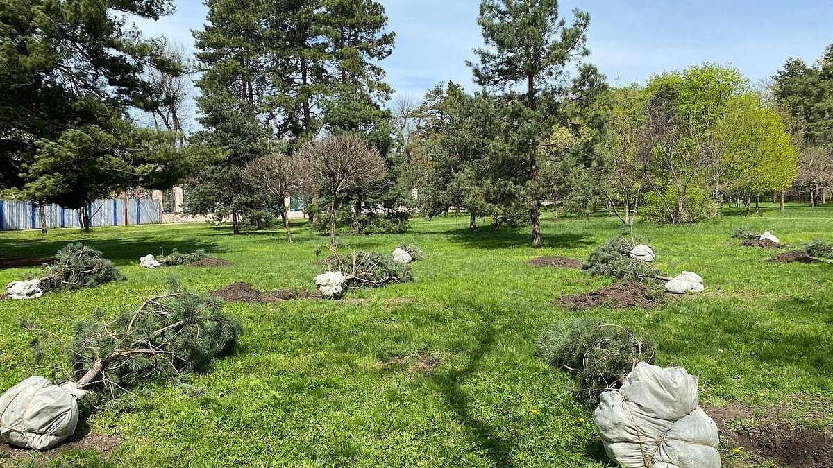    Фото: архив телеканала «Краснодар»