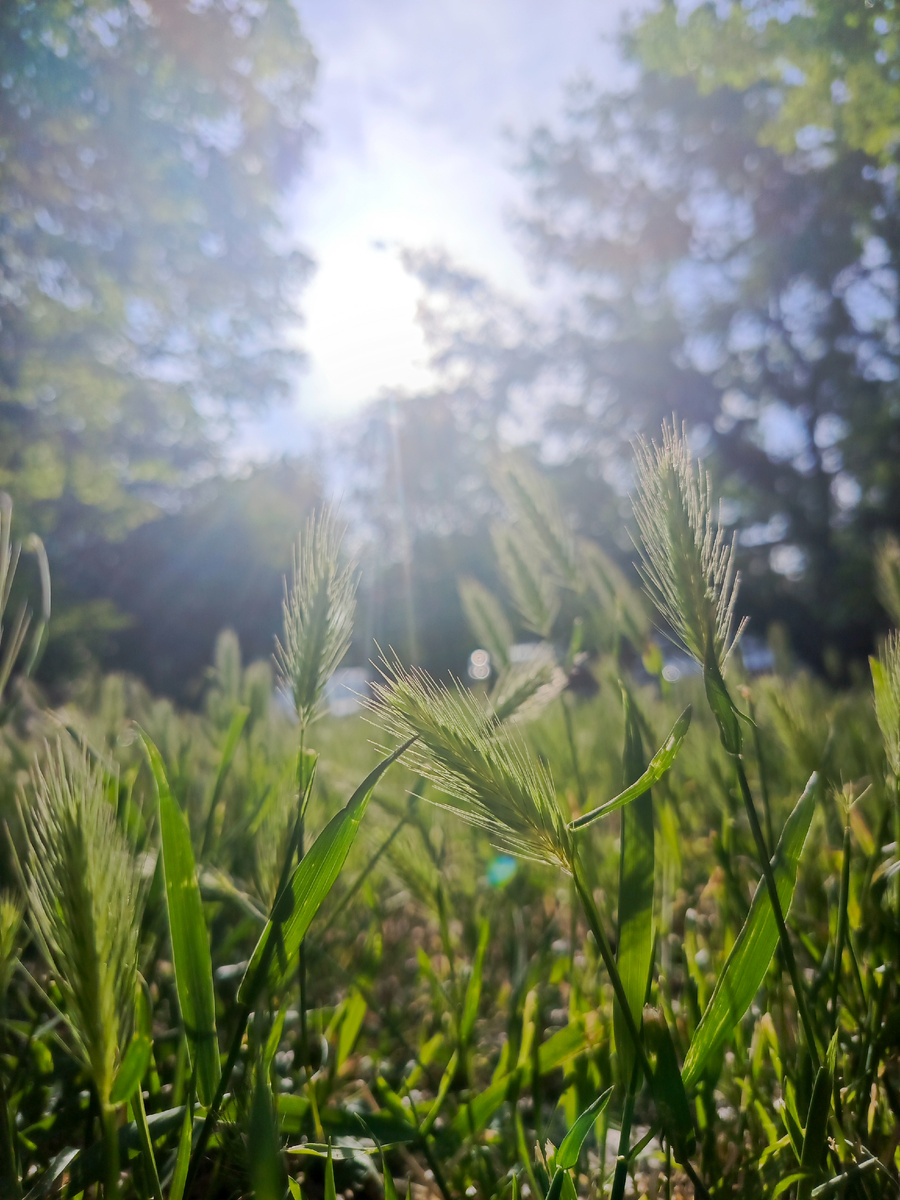 Как же я ждала тебя - лето! ☀️