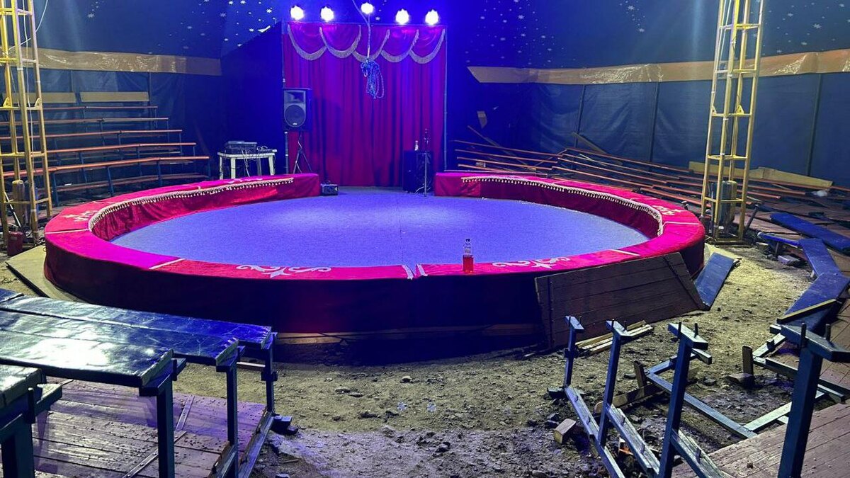    Фото: t.me/prok_lenobl