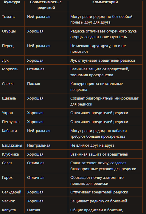 Совместимость редиски с овощами и зеленью