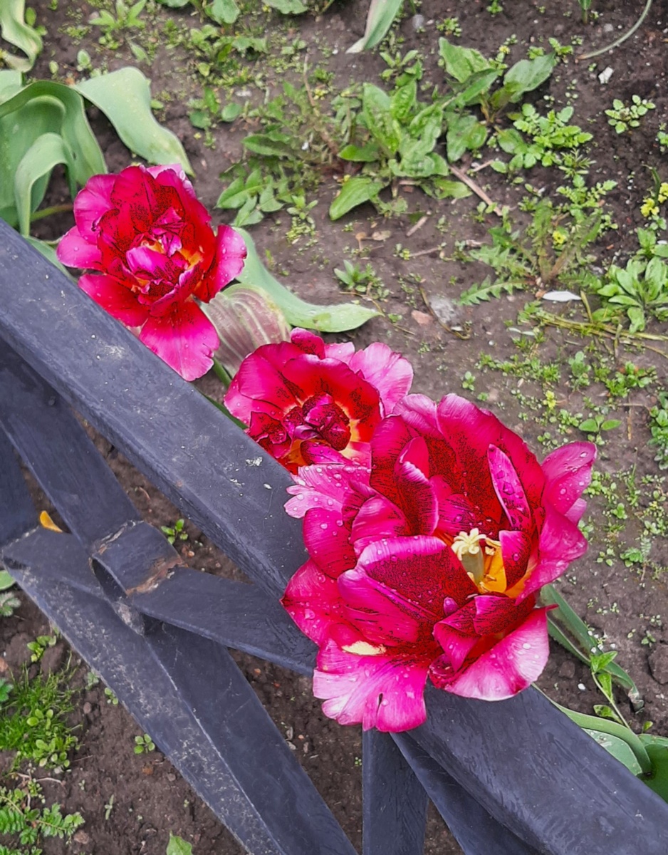 Фото автора