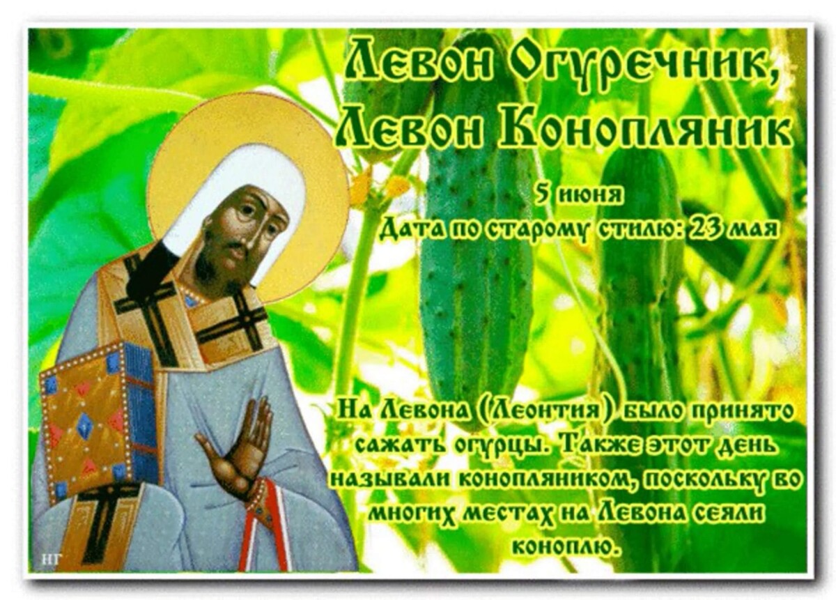 изображение взято с сайта Яндекс картинки