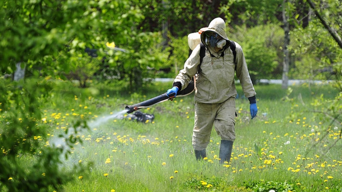Фото: администрация Тулы