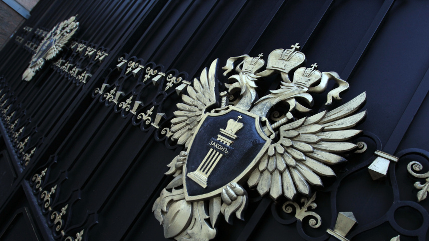    Фото: © РИА Новости/Мария Девахина; Пресс служба прокуратуры московской области; 5-tv.ru