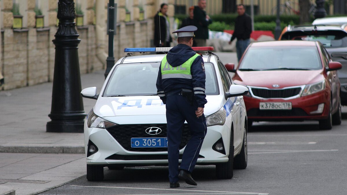    Фото: Maksim Konstantinov/globallookpress.com