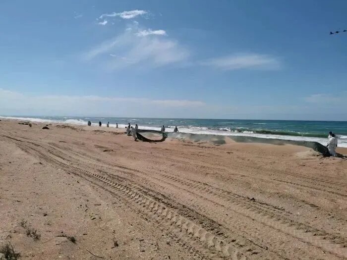 Источник: Оперштаб Кубани