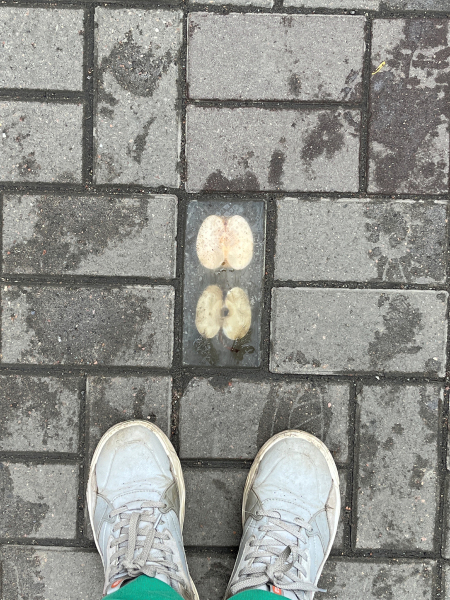 Яблоко на Сенной