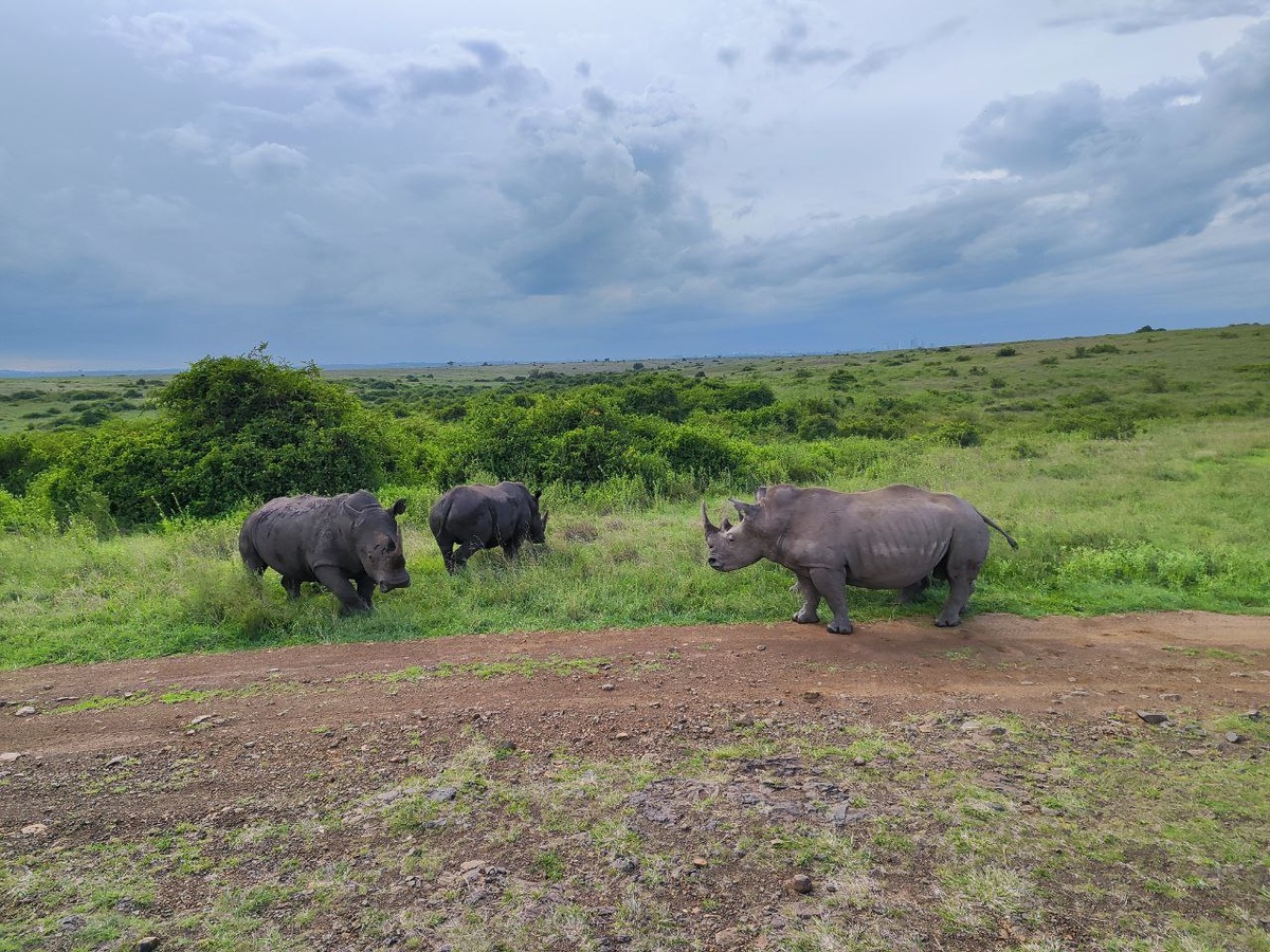 Горизонт завален... Но от этого наосороги не стали менее прекрасны...