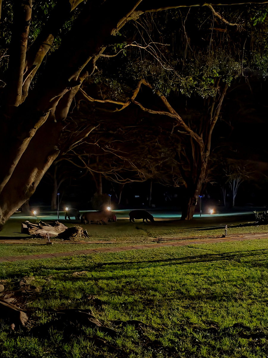 Мы ужинаем... Они завтракают...