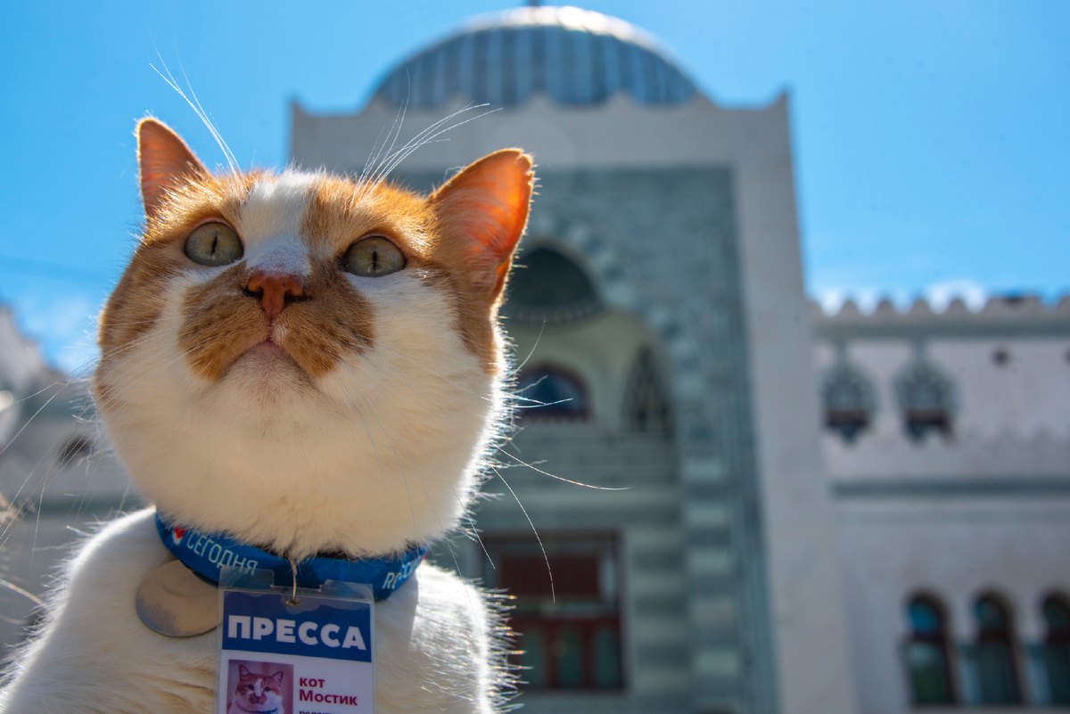Моя первая отпускная остановка.