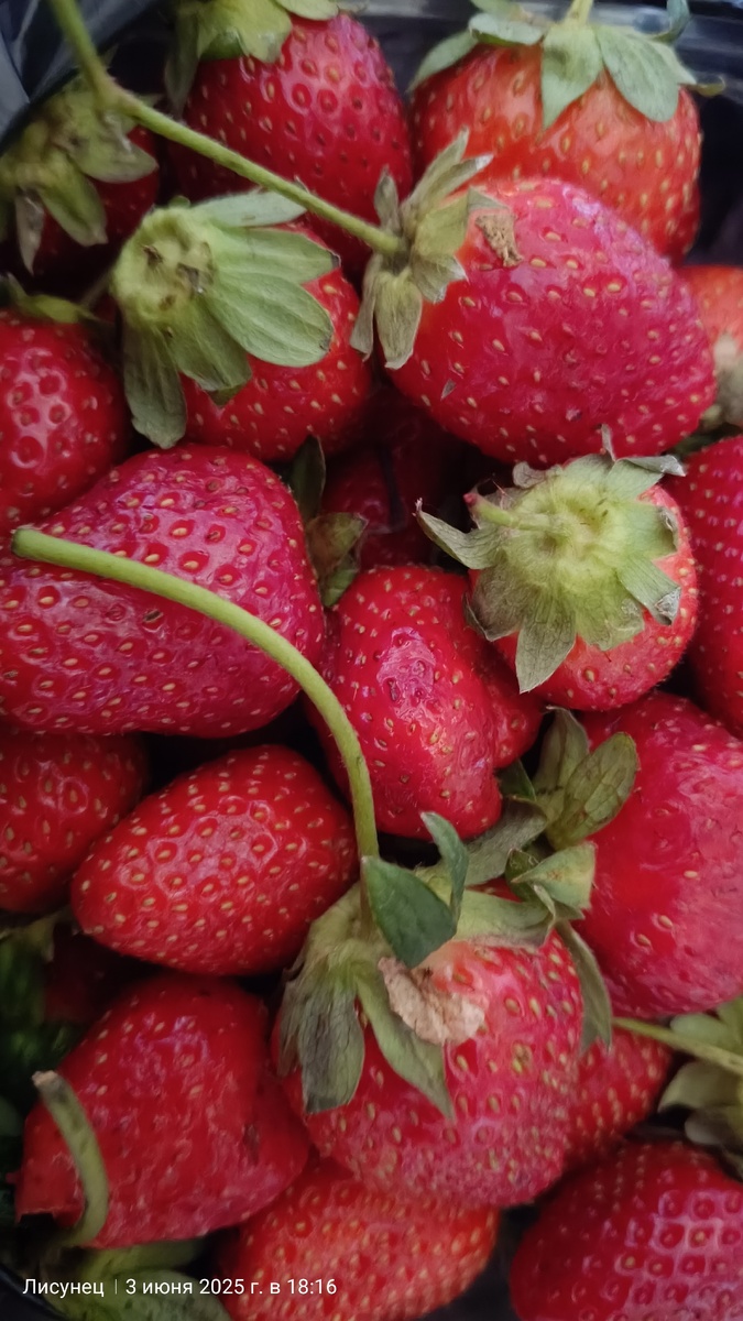 Красивая и вкусная.