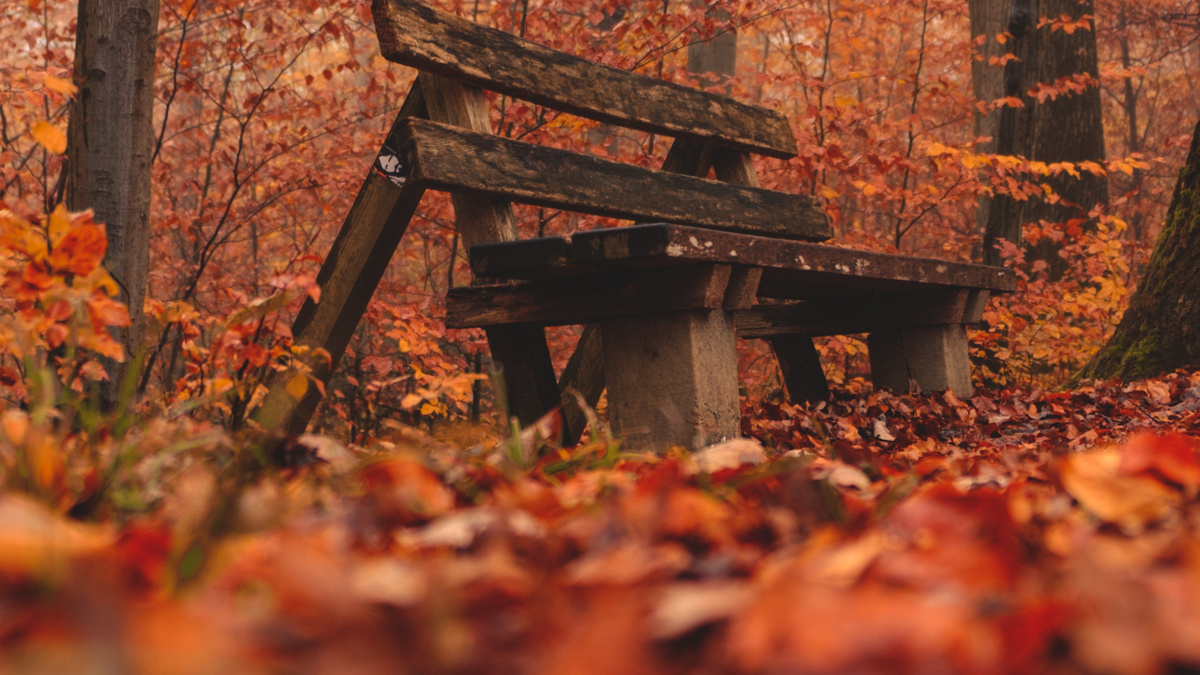 Изображение взято из открытых источников.