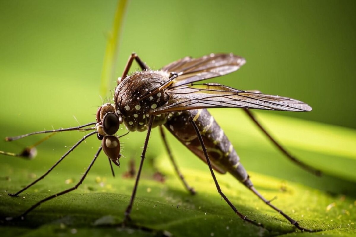    Фото сгенерировано Kandinsky 3.1