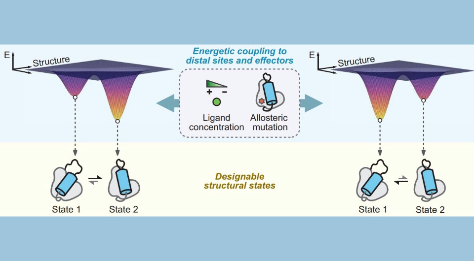   Amy B. Guo et al. / Science, 2025