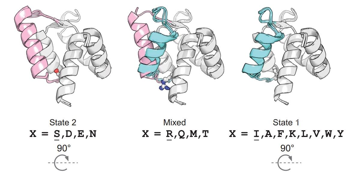   Amy B. Guo et al. / Science, 2025