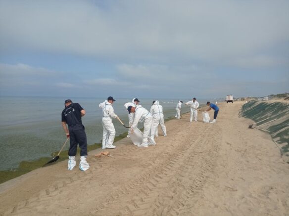    Фото: t.me/opershtab23