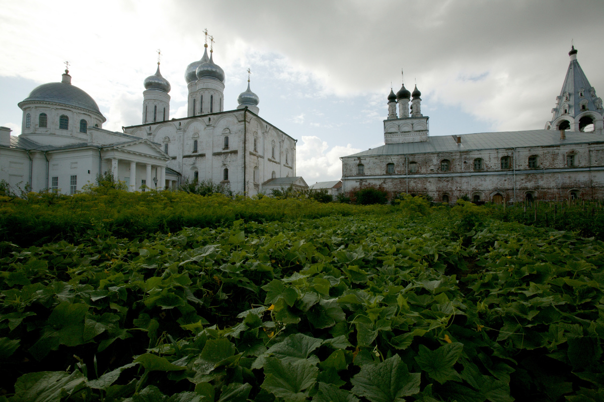 фото: Serguei Fomine/Russian Look
