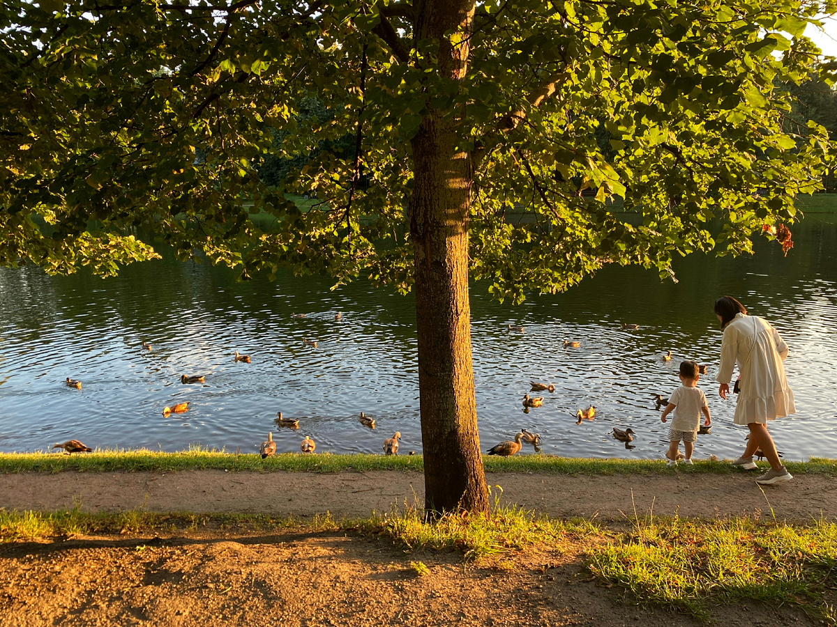 фото: Alexander Legky/Global Look Press