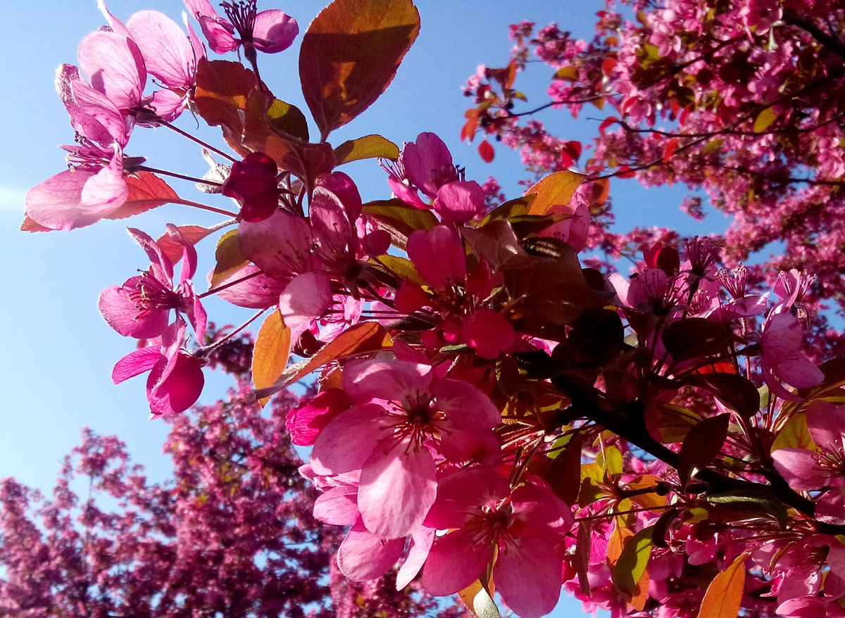 Фото автора.