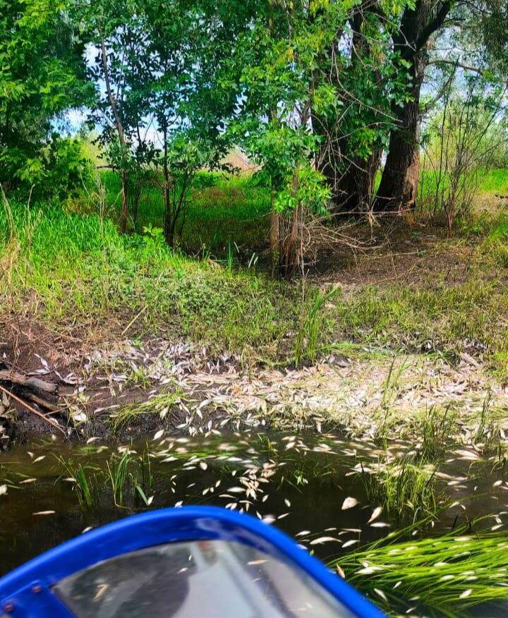    Фото Минприроды Самарской области