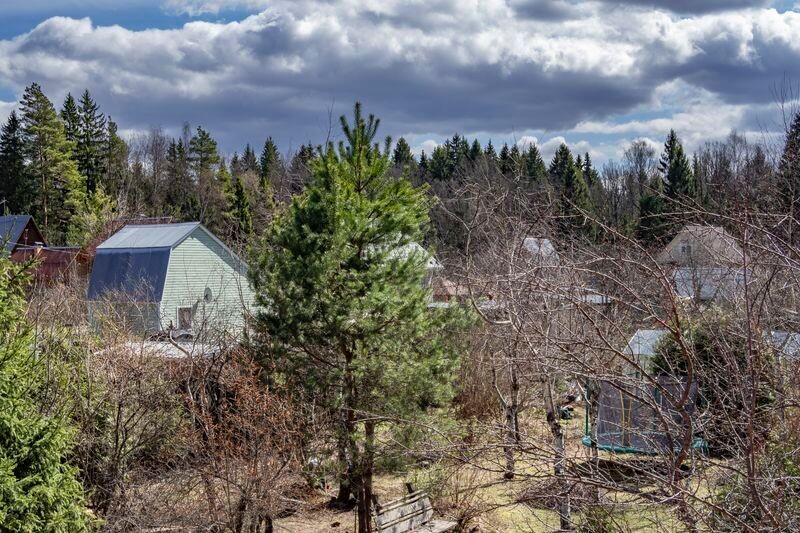     / Источник: ©ИЗВЕСТИЯ/Константин Кокошкин