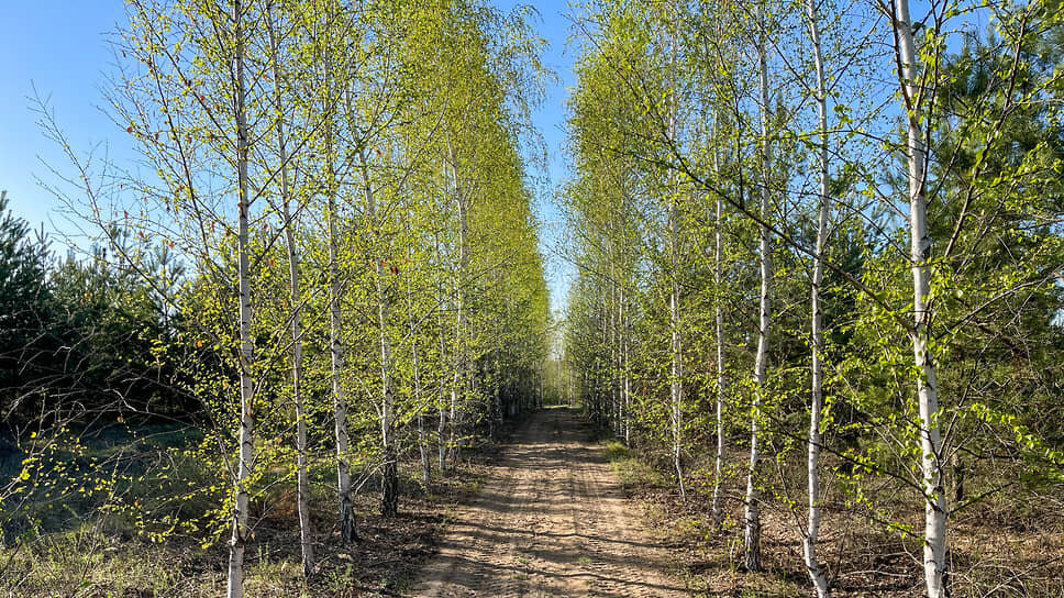Фото: Игорь Елисеев / Коммерсантъ