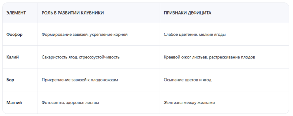 Какие элементы нужны клубнике в июне